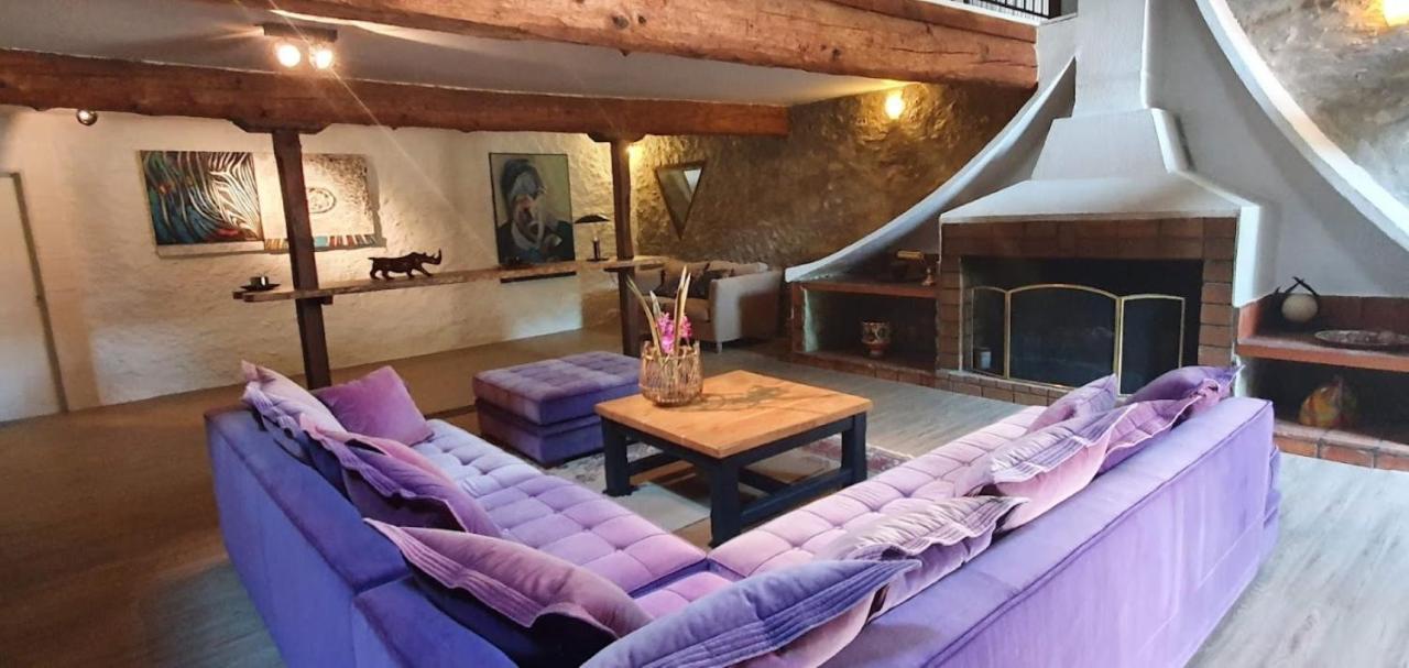 Gite De 420 Metres Carres Dans Chateau L'Ange Au Violon Jusqu'A 13 Couchages Conques-sur-Orbiel Eksteriør bilde